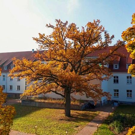 Parkresidenz Lychen, Ferienwohnung 10 Exterior foto