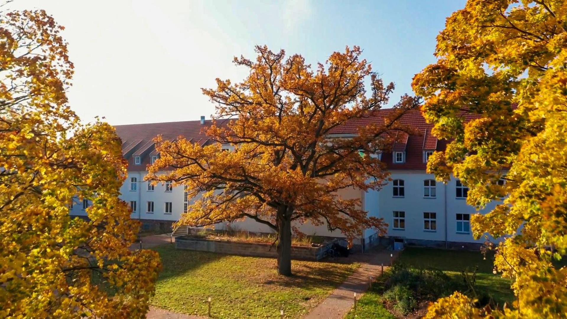 Parkresidenz Lychen, Ferienwohnung 10 Exterior foto